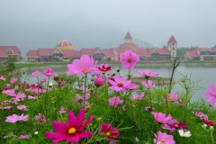 去西岭雪山成都租车多少钱一天