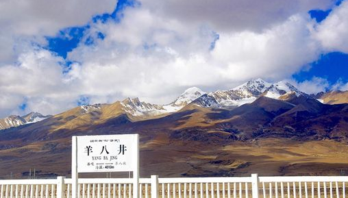 川藏线旅游包车
