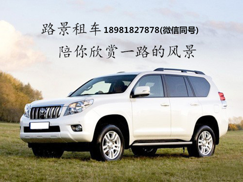 成都汽车租赁公司有哪些