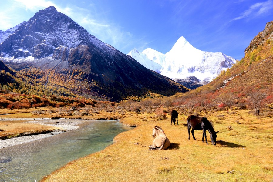 川藏线旅游，川藏线租车结伴一起去西藏！ 