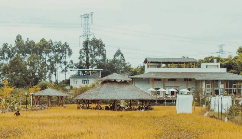 成都泰式农场小草垛.jpg